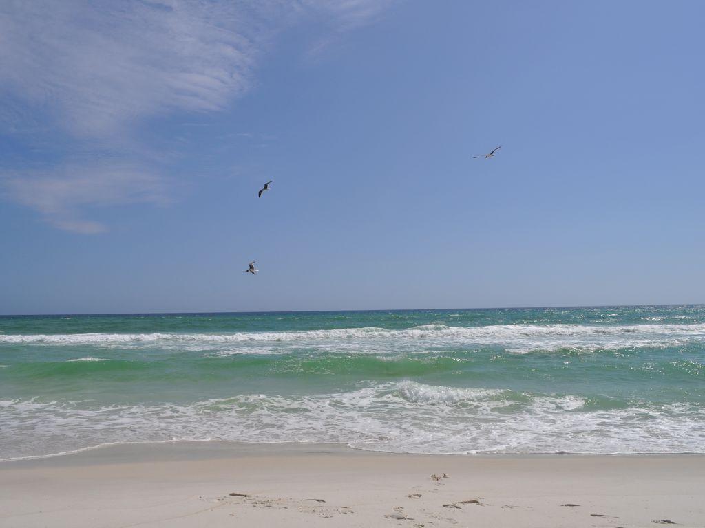 SEACREST BEACH PH 6 - Residential