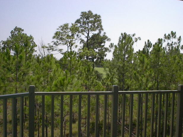 WILD HERON - CLUBSIDE - Residential