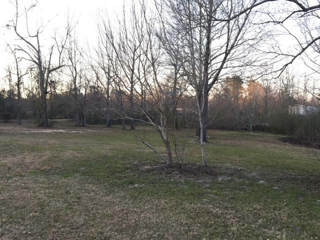 COTTAGE HILL - Residential