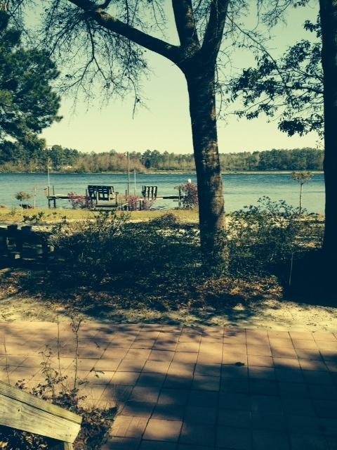 JUNIPER VILLAGE - Residential