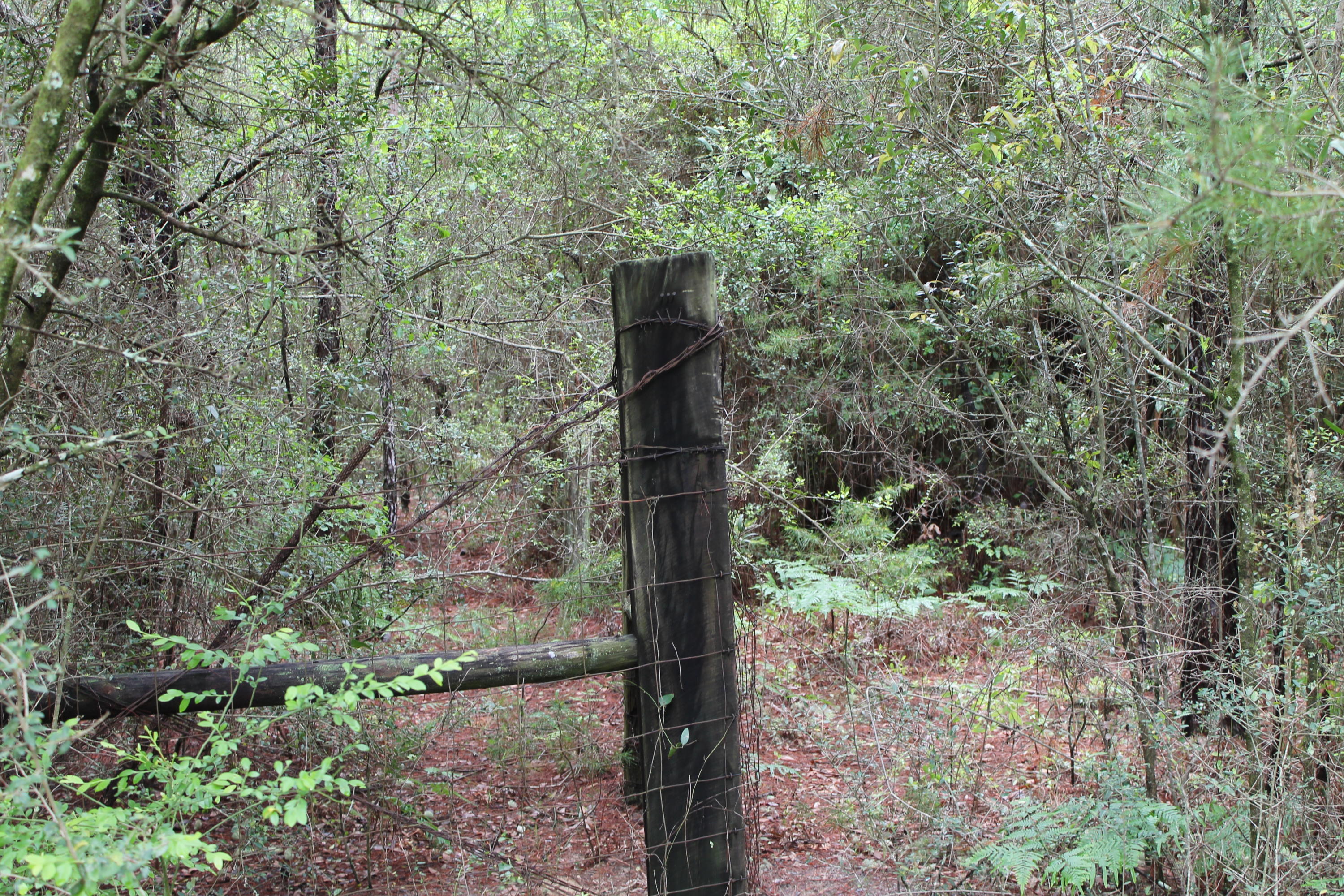 Miller Estate - Land