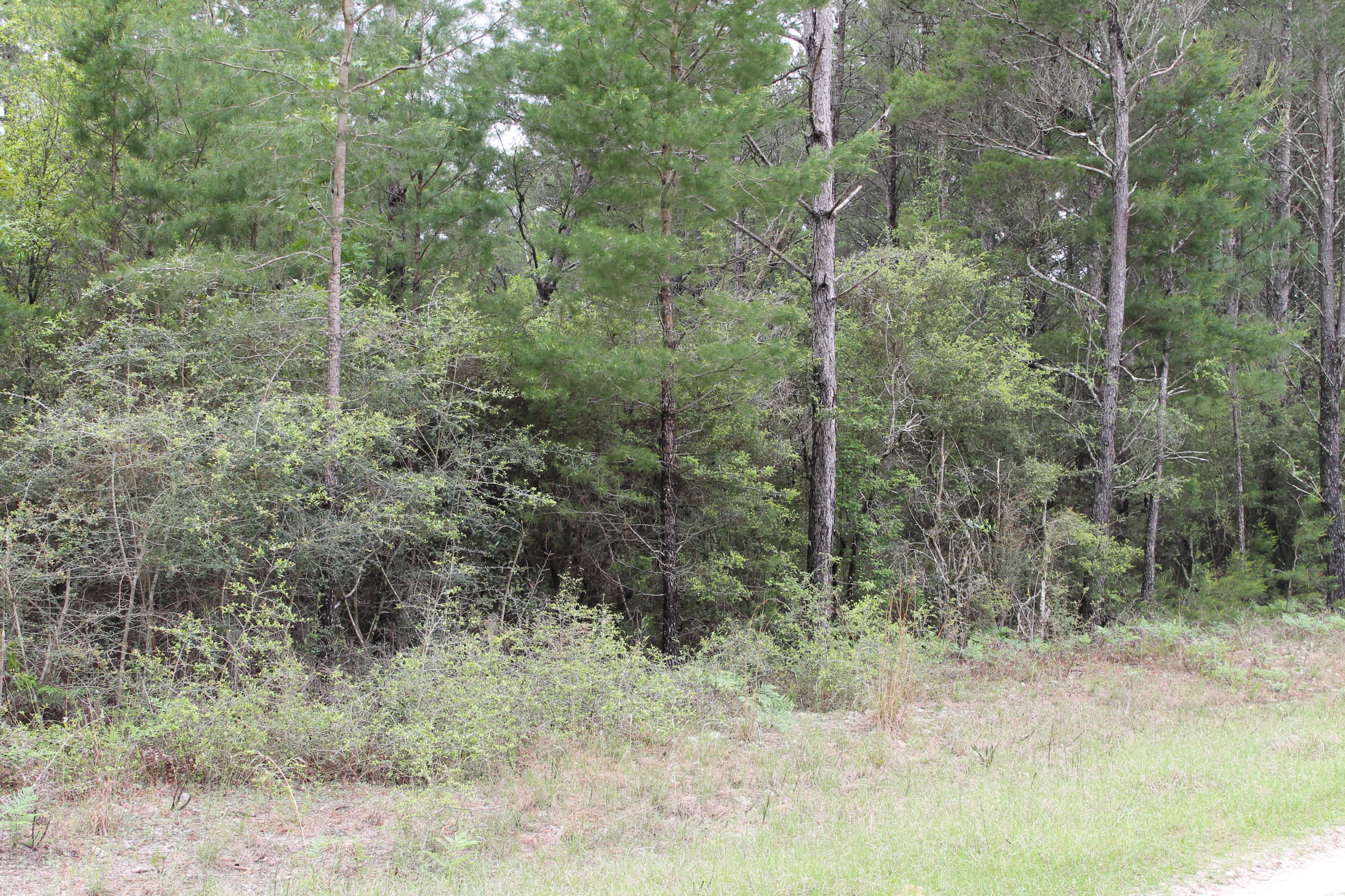 Miller Estate - Land