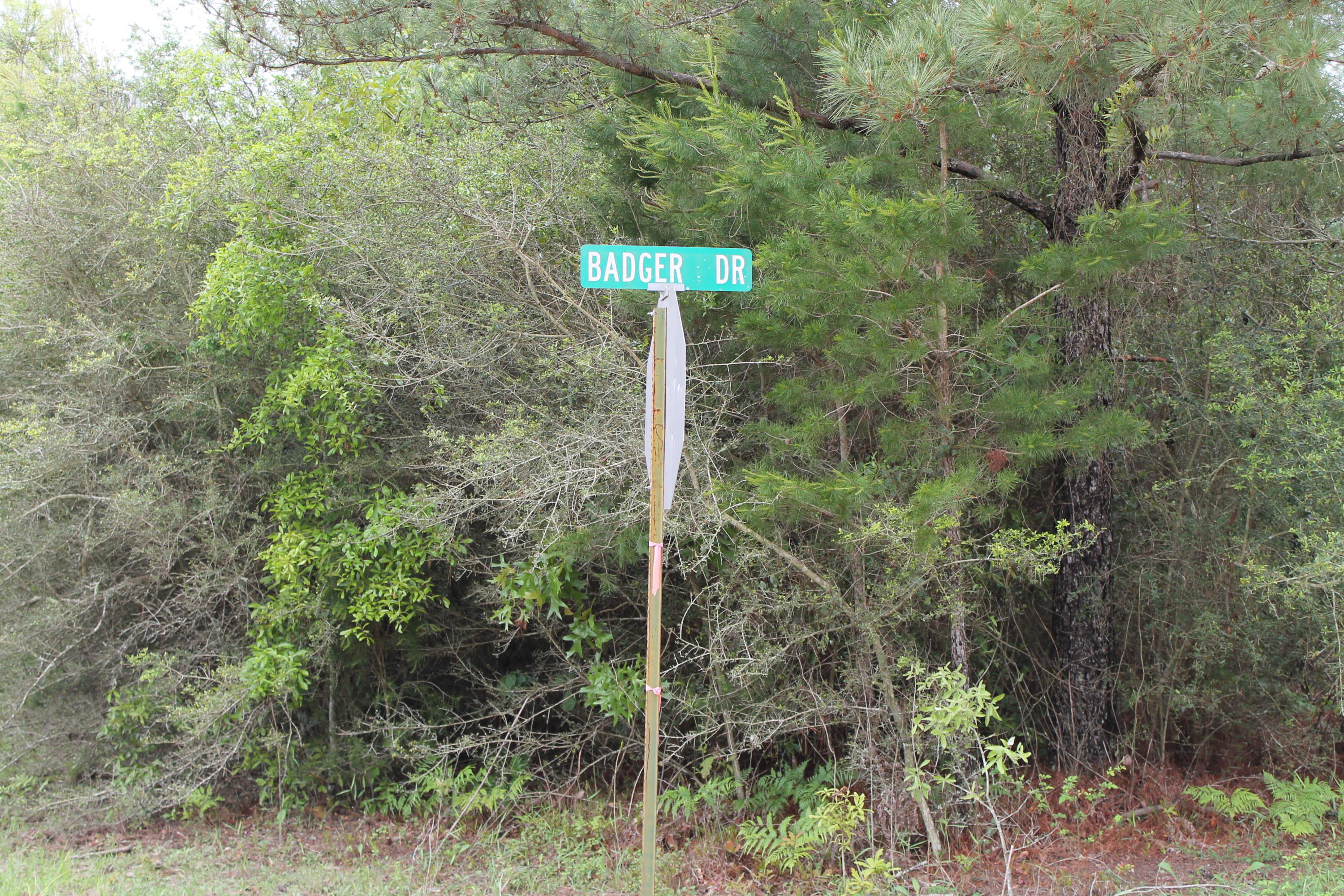 Miller Estate - Land