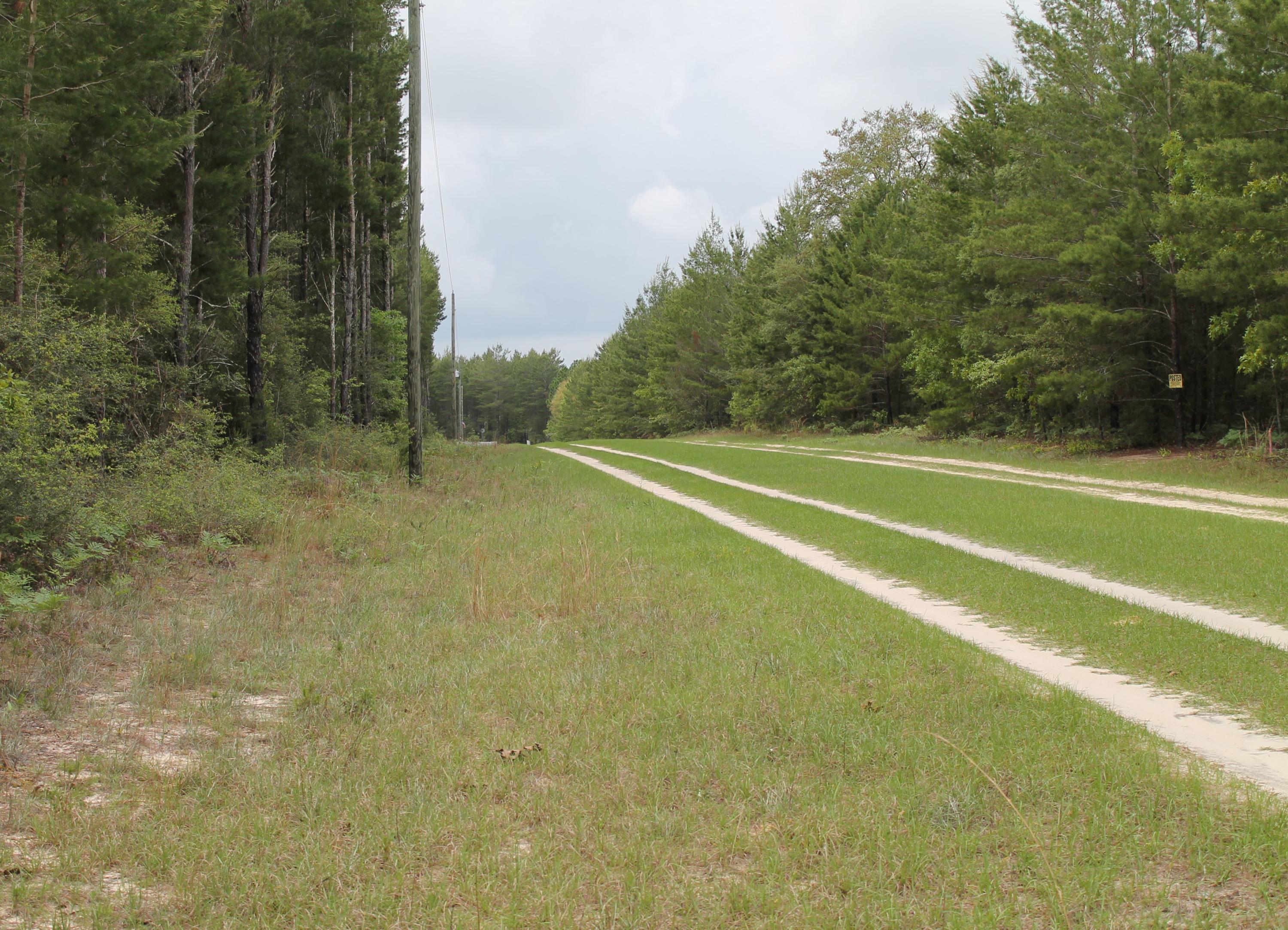 Miller Estate - Land