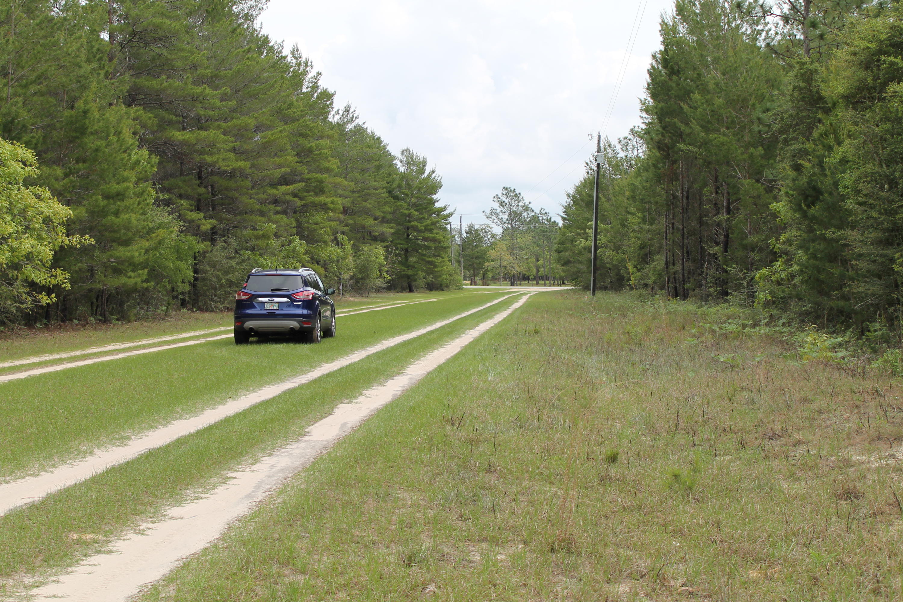 Miller Estate - Land