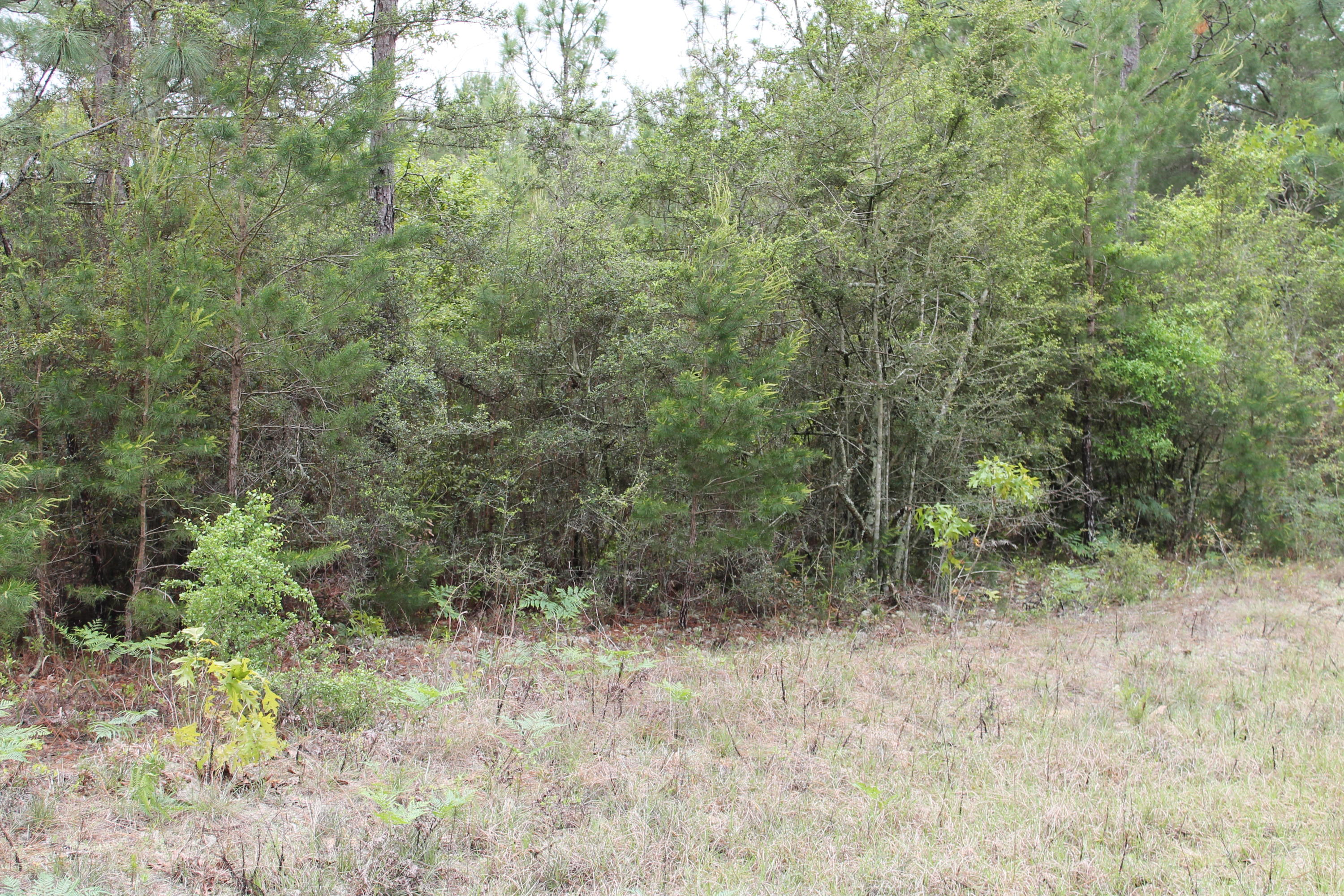 Miller Estate - Land