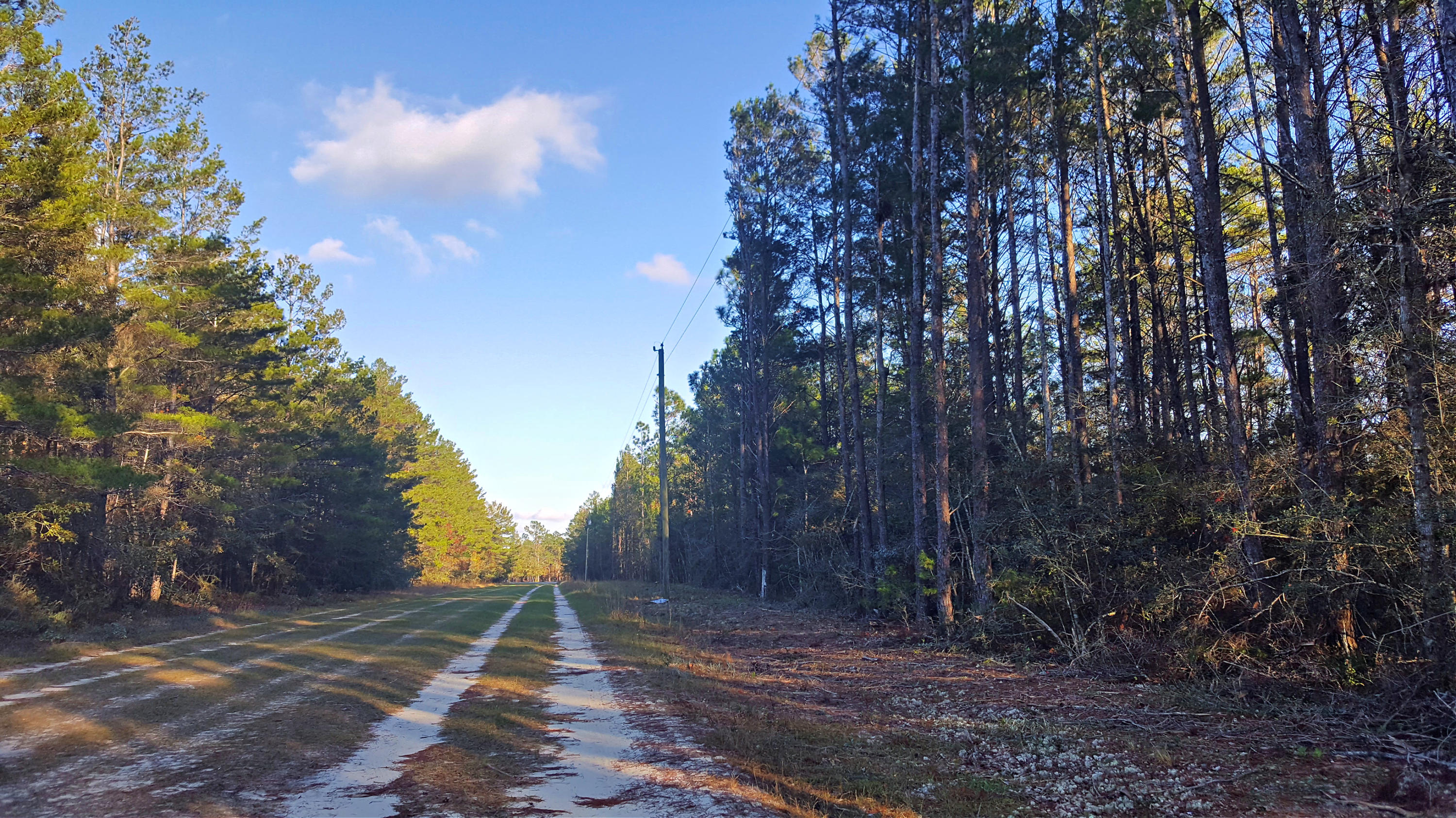 Miller Estate - Land