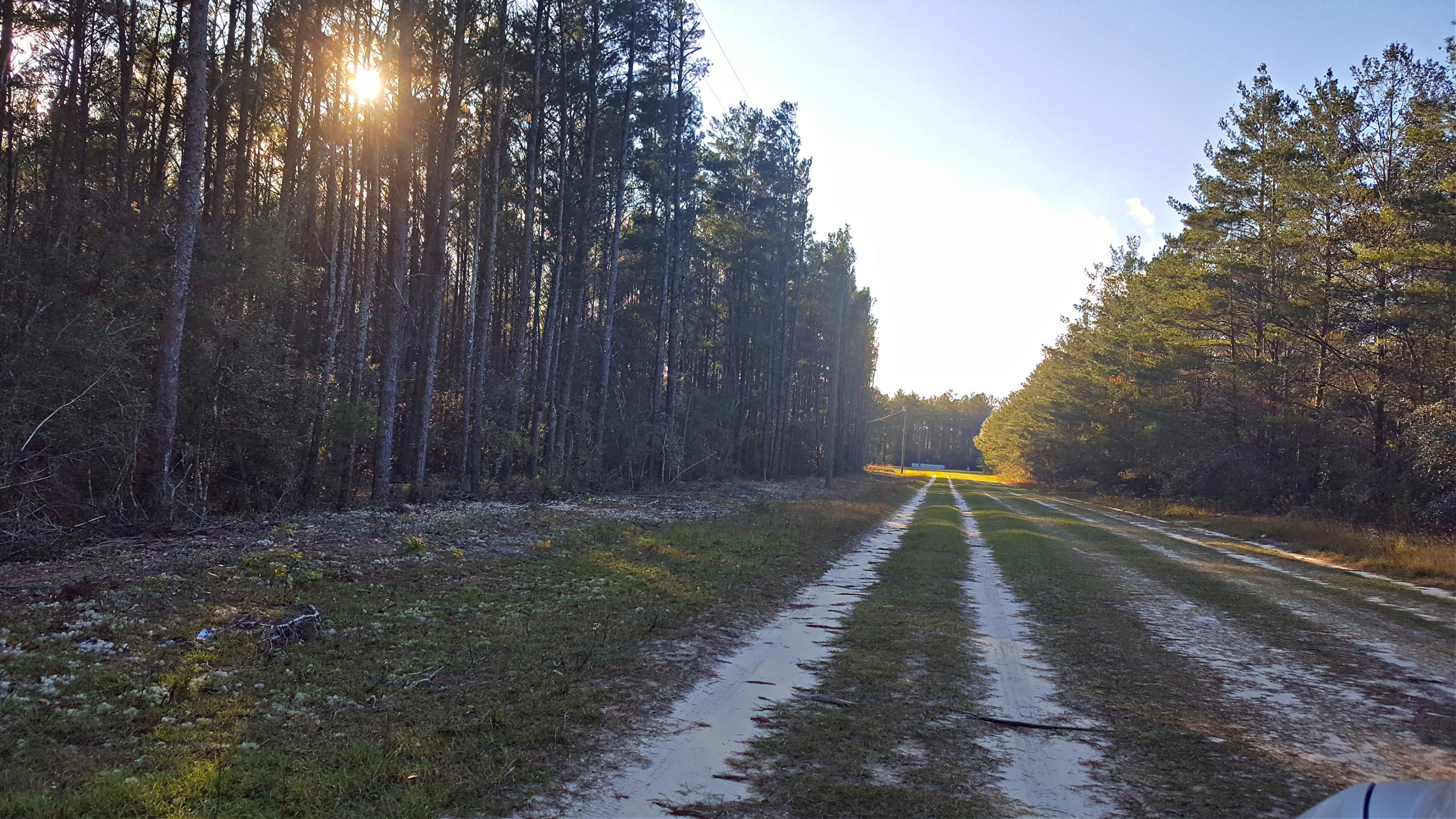 Miller Estate - Land