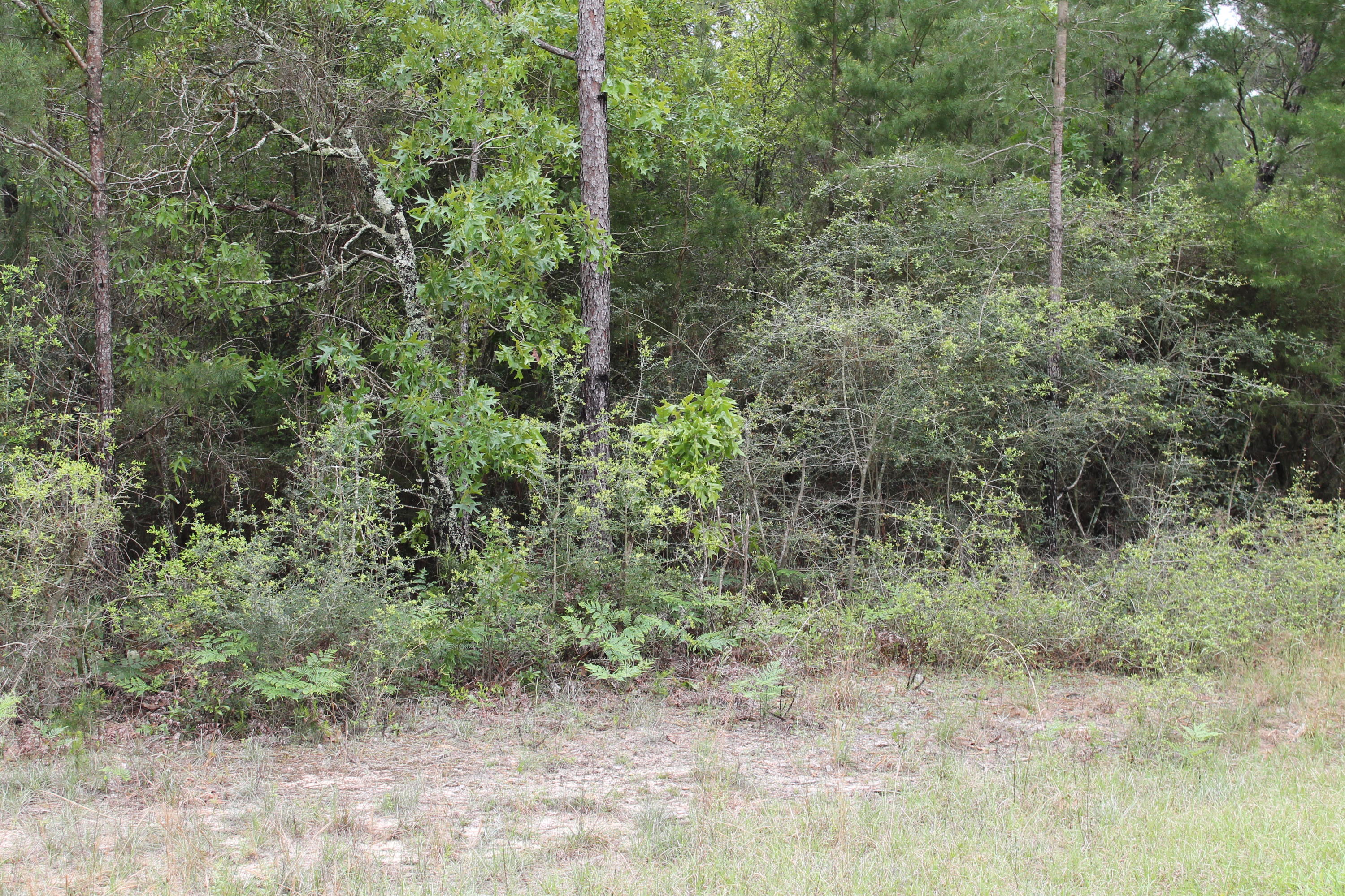 Miller Estate - Land