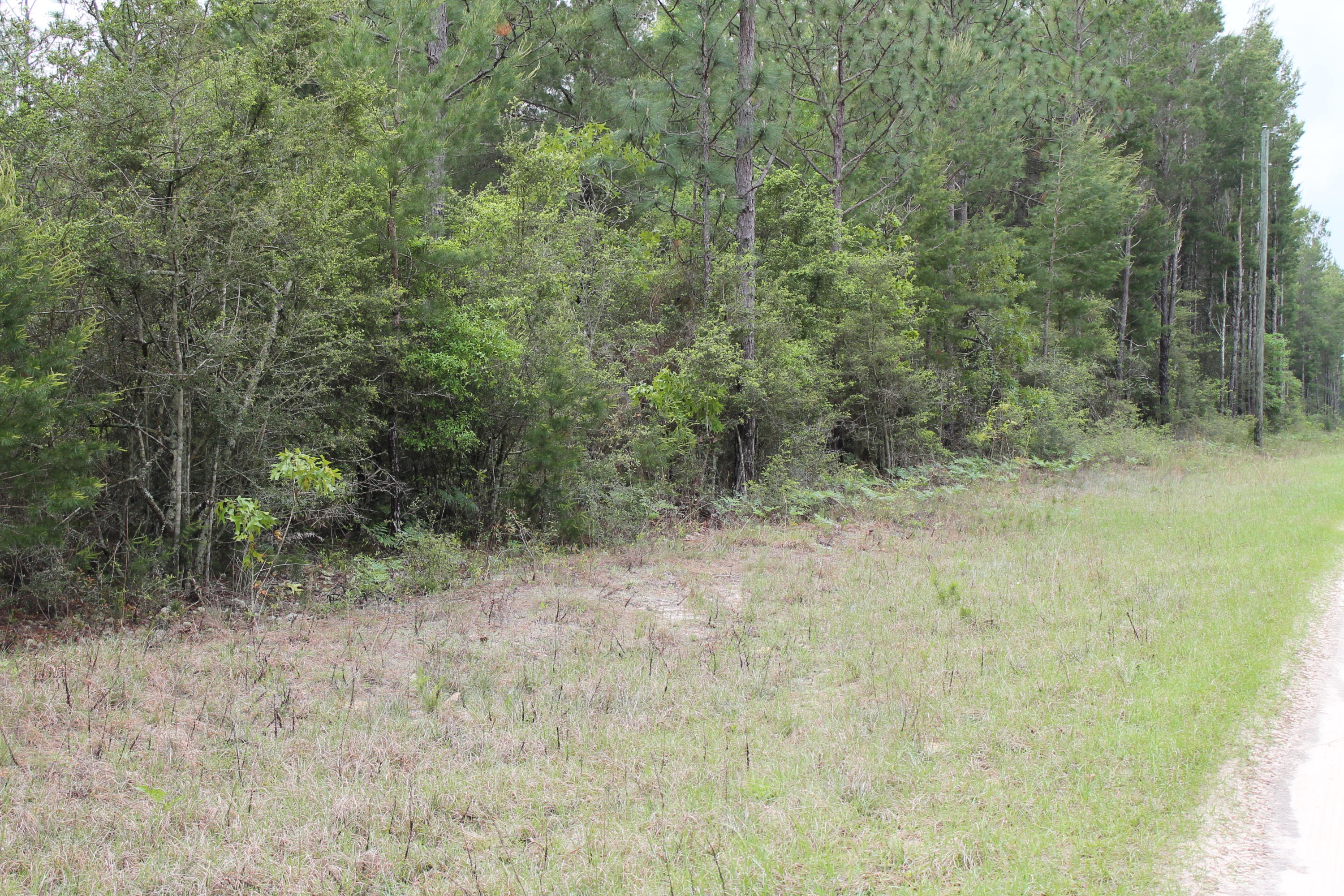 Miller Estate - Land