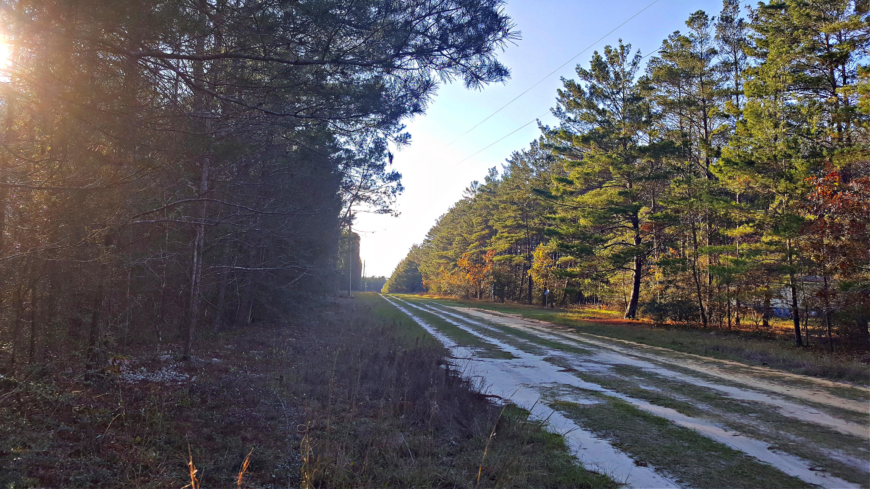 Miller Estate - Land