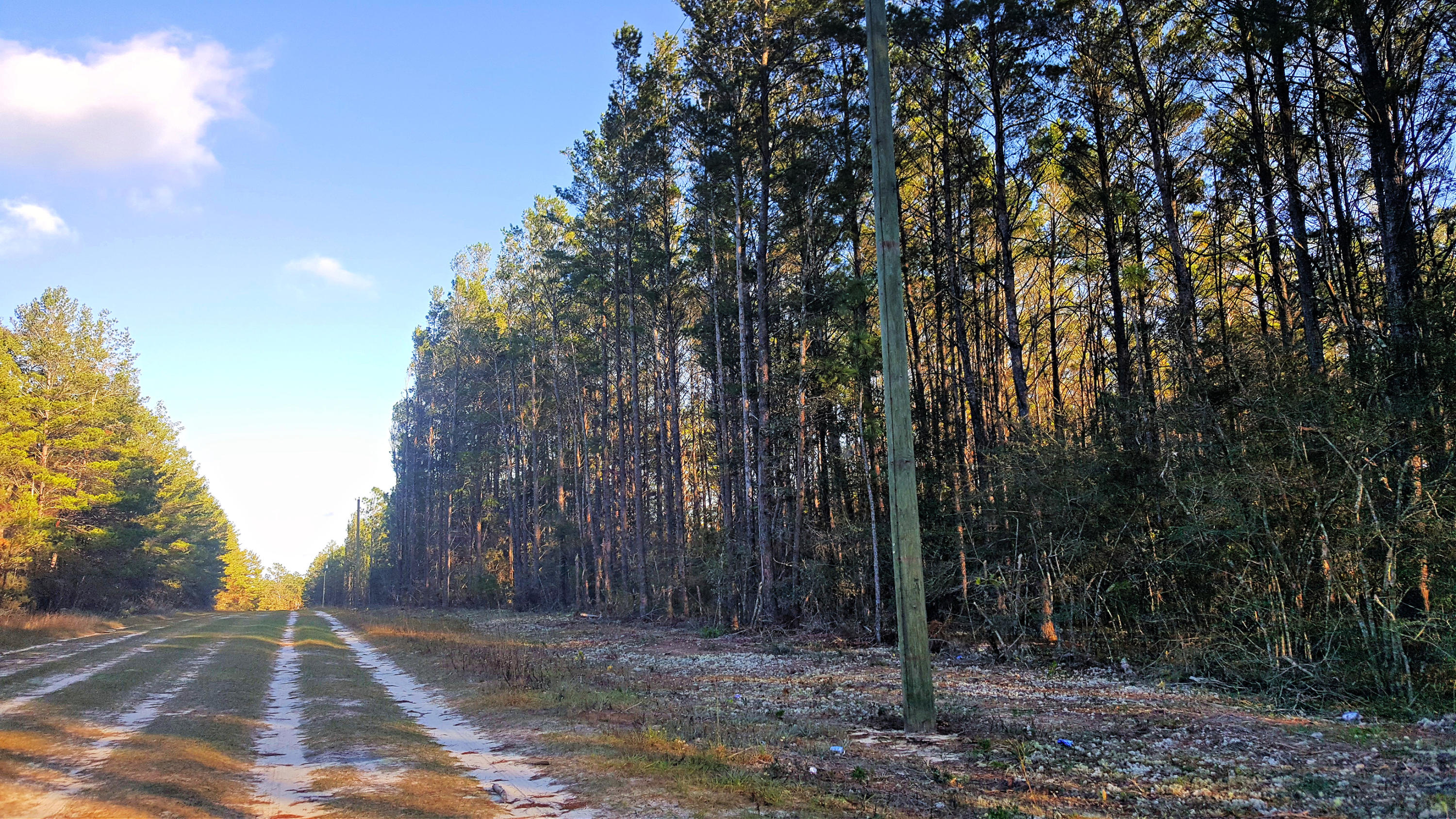 Miller Estate - Land