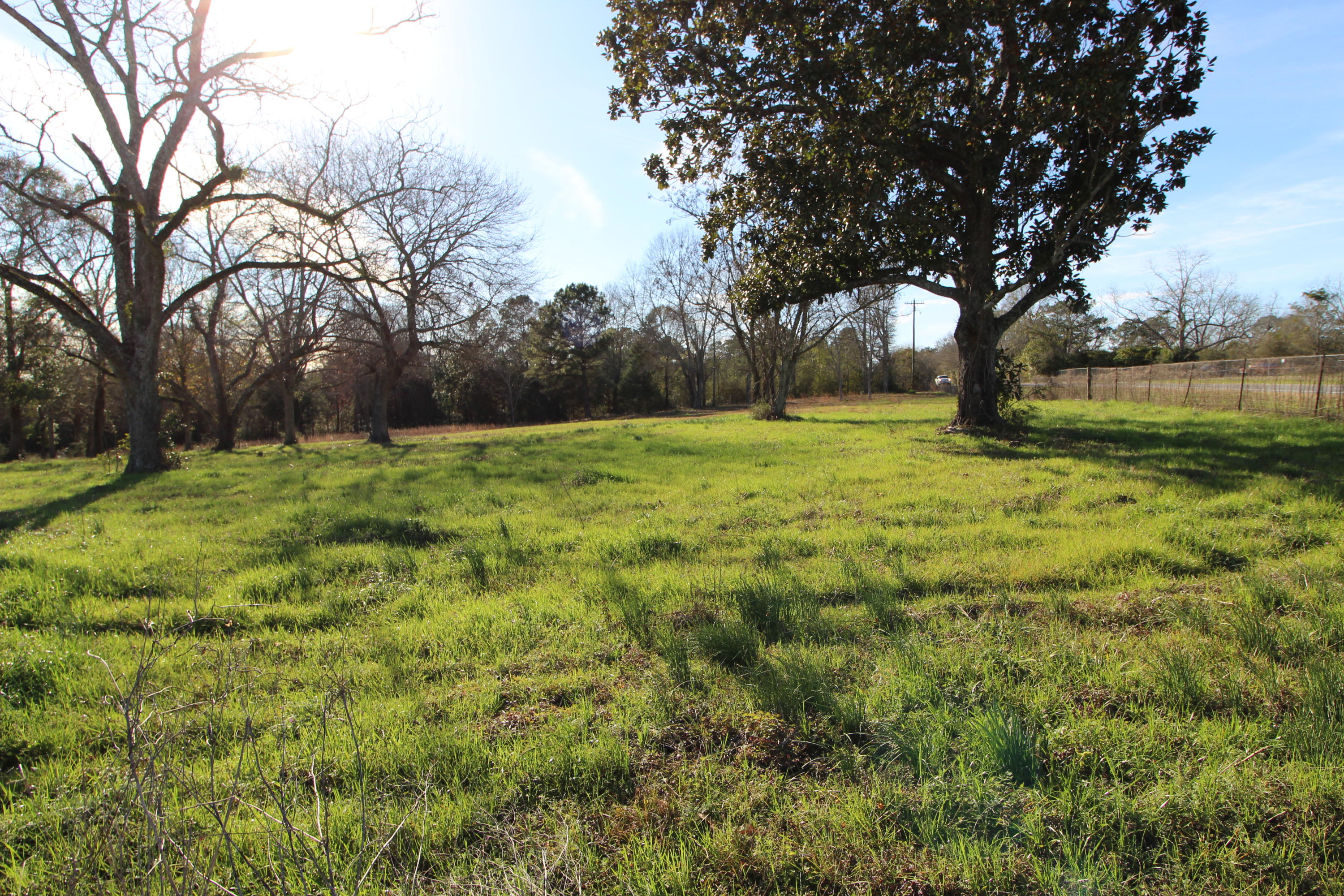OPPORTUNITY KNOCKS! Great corner location with frontage on State Road 85 and Ludlum Road. Possible commercial potential or a beautiful place for a new home. The acreage has been cleared and mowable with several large pecan trees. This 2.33 acre parcel is being offered for sale together with the adjoining 2.33 acre parcel to make a total of 4.66 acres. Drive-by and take a look!!