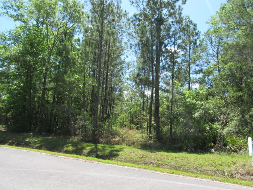 Great interior lot in Magnolia Bay Estates. All city utilities available, electric, water and sewer! Beautiful lot to build your dream home. Lot is restricted and close to town. Don't miss out, call for your tour today!