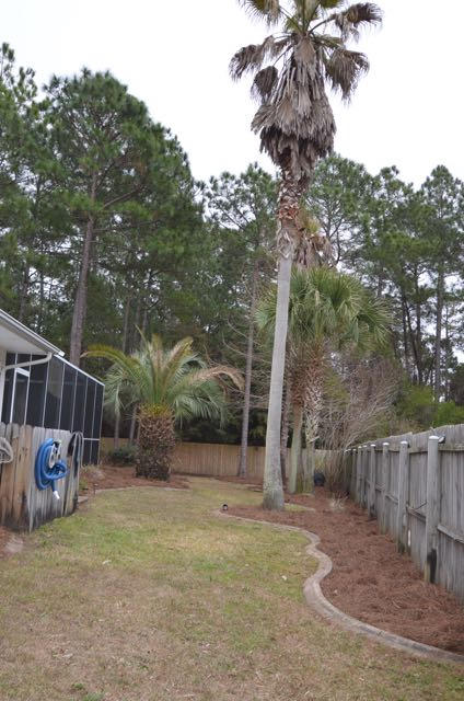 EMERALD VILLAGE S/D - Residential