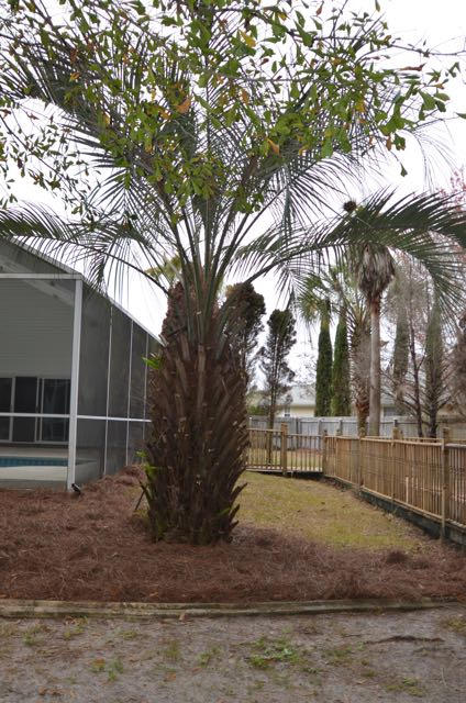 EMERALD VILLAGE S/D - Residential