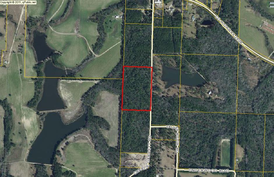 BEAUTIFUL 15 ACRE HOMESITE -- GREAT PRICE! It's hard to find fifteen acres in the Euchee Valley, just SE of DeFuniak Springs. Close to town but still quiet and secluded. Great home-site for a mobile, or build your dream home. Lots of wildlife in the area. Survey in file. There is electricity on Charlie Garrett Road, but a well and septic tank would need to be installed by the buyer at buyer's expense. All dimensions and suitability for building to be verified by buyer at buyer expense.