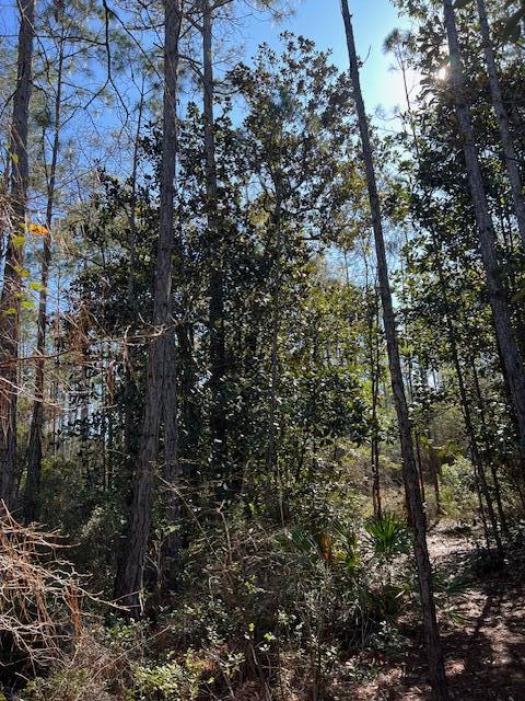 Chat Holley Rd & Harstvedt Rd - Land