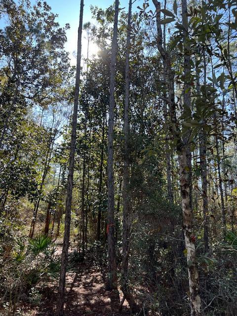 Chat Holley Rd & Harstvedt Rd - Land