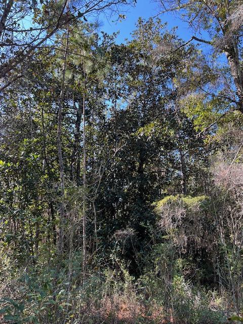 Chat Holley Rd & Harstvedt Rd - Land