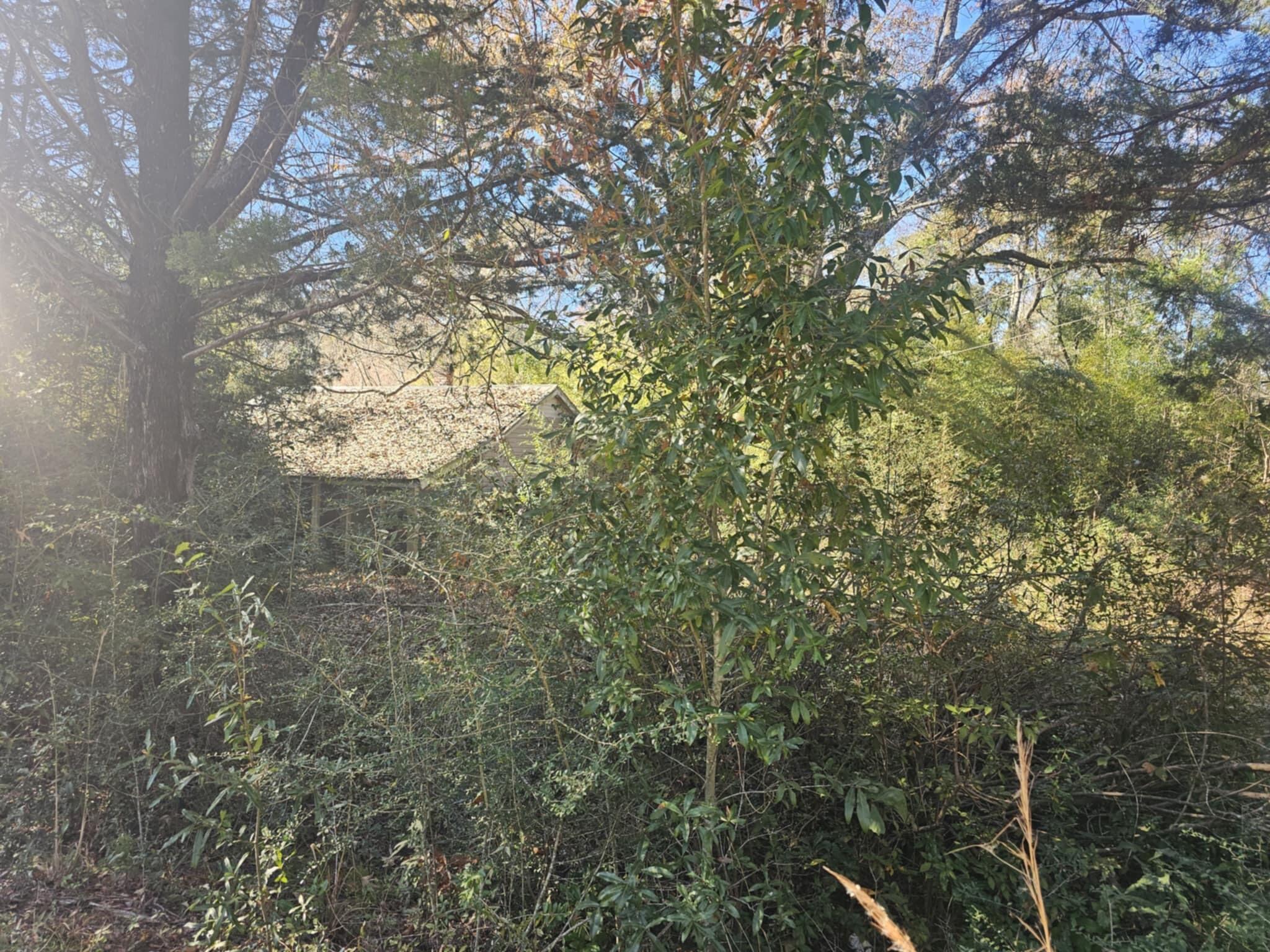 METES & BOUNDS - Land