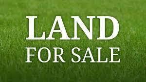 Beautiful lot in the back of Holley by the Sea. This lot has mature trees and would make a great home site to build the home you dream of.