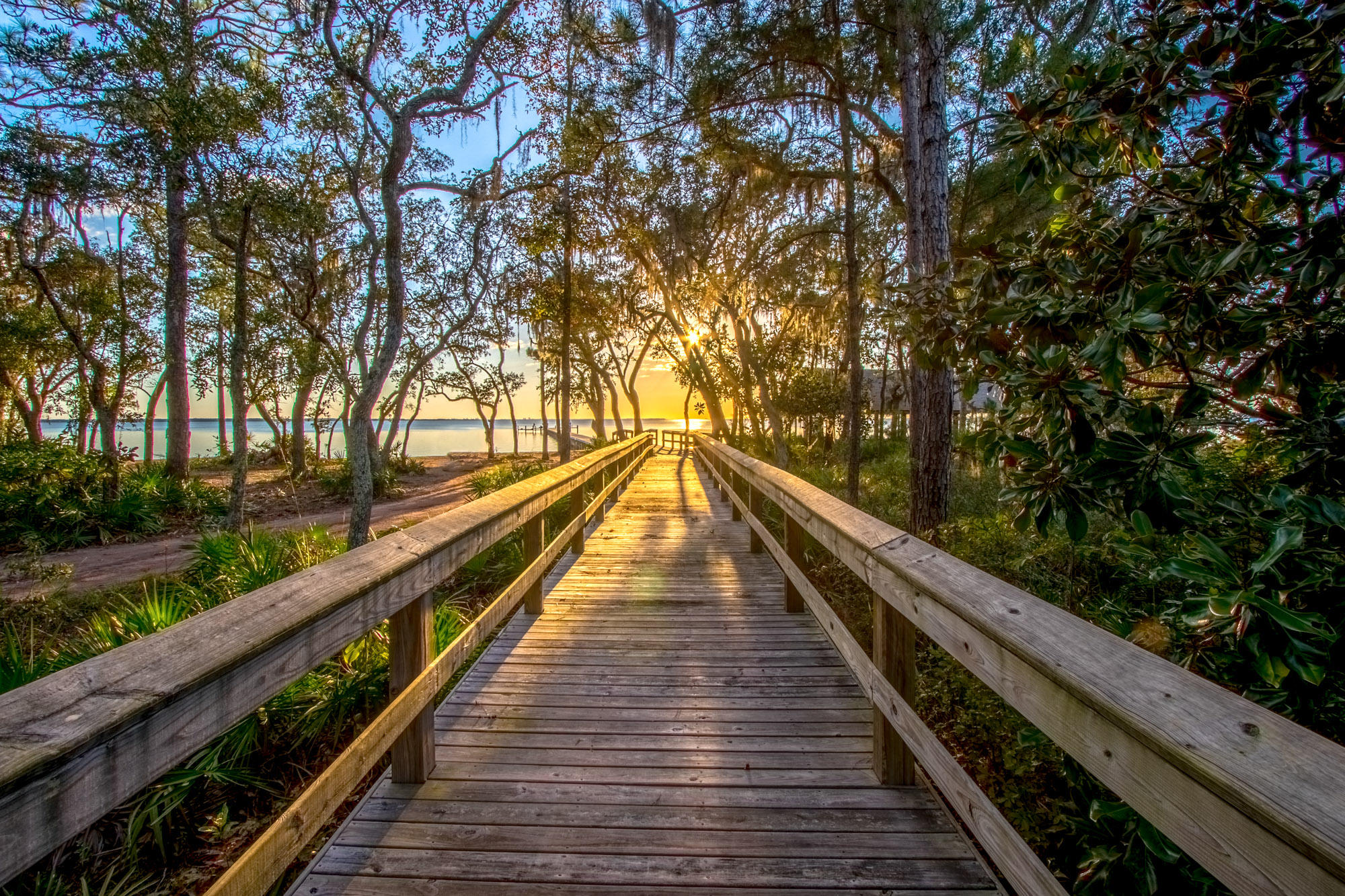 HAMMOCK BAY - Land