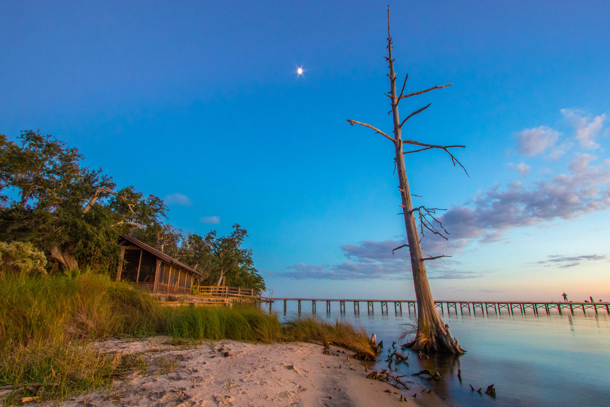 HAMMOCK BAY - Land