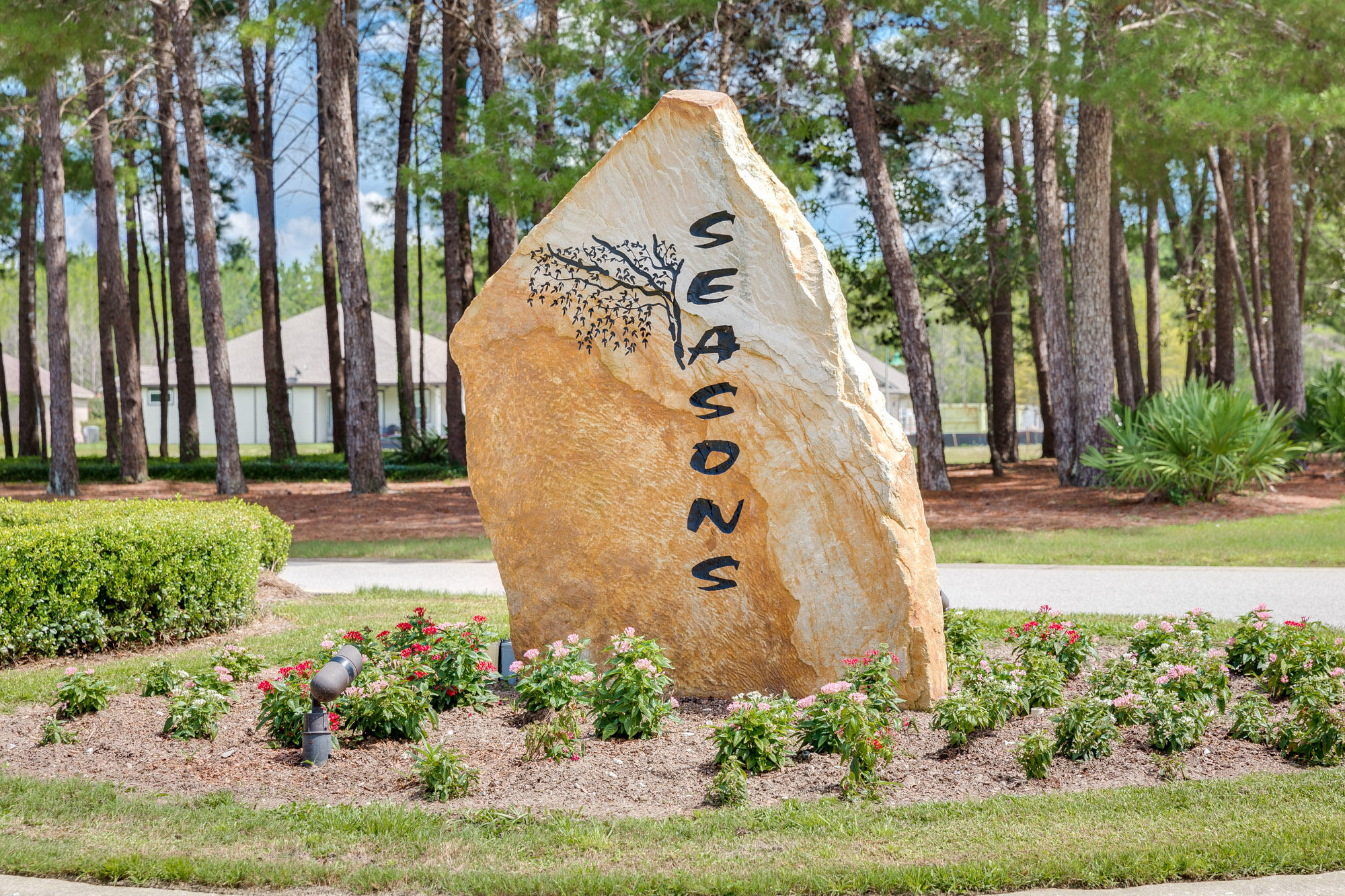 HAMMOCK BAY - Land