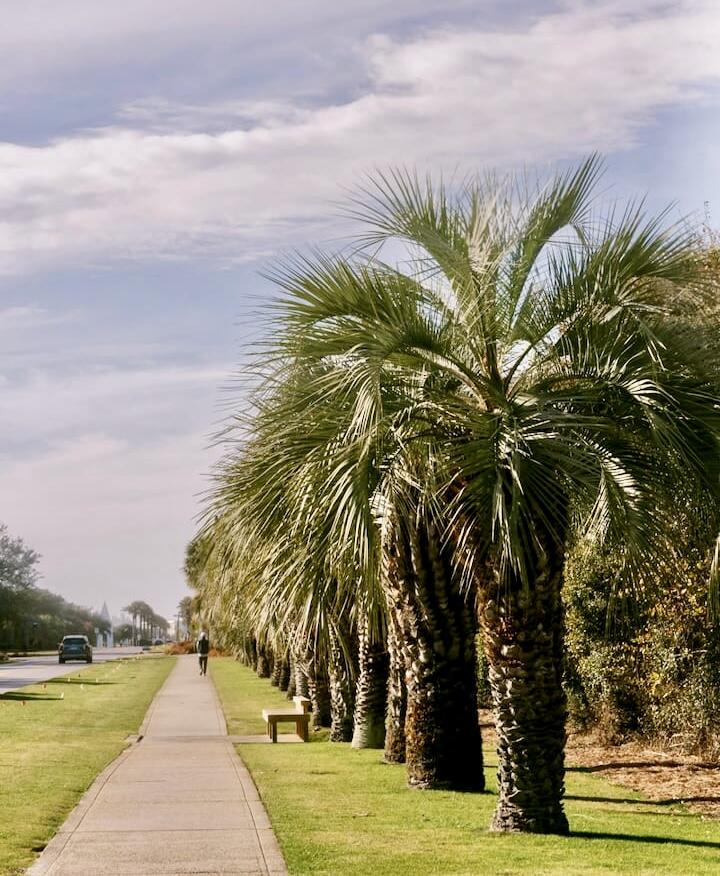 South Walton - Residential