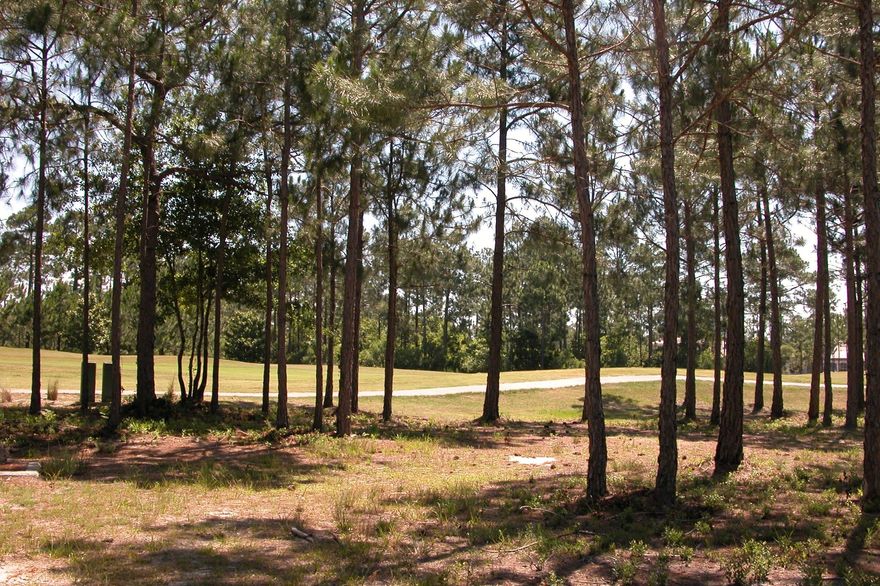 Beautiful homesite located on the 10th fairway of the award winning Raven golf course. This lot only has a 30' set back from the golf course whereas most of them are 45'. One of only a few remaining lots that is wide enough to accomodate an estate sized one story home. It is located near the end of a quiet street, yet very close to the Burnt Pine Clubhouse. Ravenwood is located within the gates of the exclusive community of Burnt Pine. As an added bonus and to introduce the new owners to the Sandestin lifestyle, the listing brokerage and seller(s) are offering an incentive package to the buyer(s) of this property: Golf for four on one of our three championship courses, a pass for four to Sandestin's exclusive Beach Club, and an introductory membership to the Burnt Pine Golf Club.