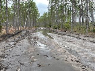 Settle into a beautiful timberland scenery and starry night sky. This proroperty is accessed by easement. Bring your house plans or your hunting camp! Schools: Blountstown Elementary Schools, Carr Elementary and Middle School, Blountstown High School, Altha Public School
