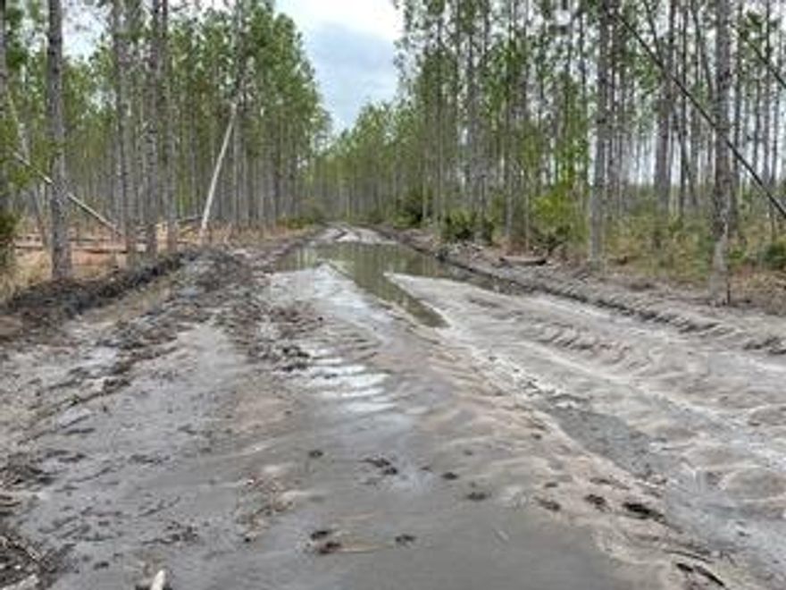 Settle into a beautiful timberland scenery and starry night sky. This proroperty is accessed by easement. Bring your house plans or your hunting camp! Schools: Blountstown Elementary Schools, Carr Elementary and Middle School, Blountstown High School, Altha Public School
