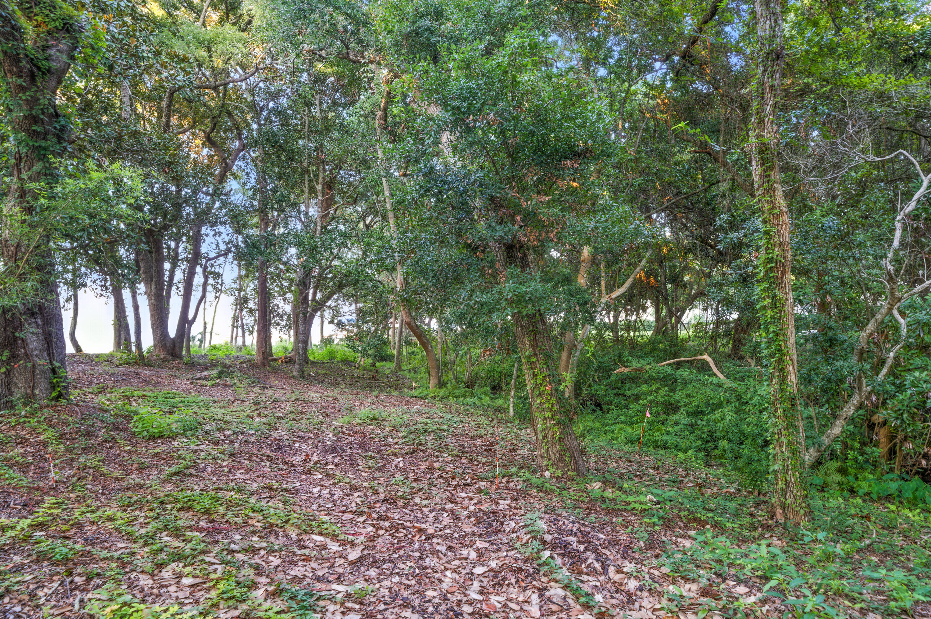 MORENO ACRES S/D - Land