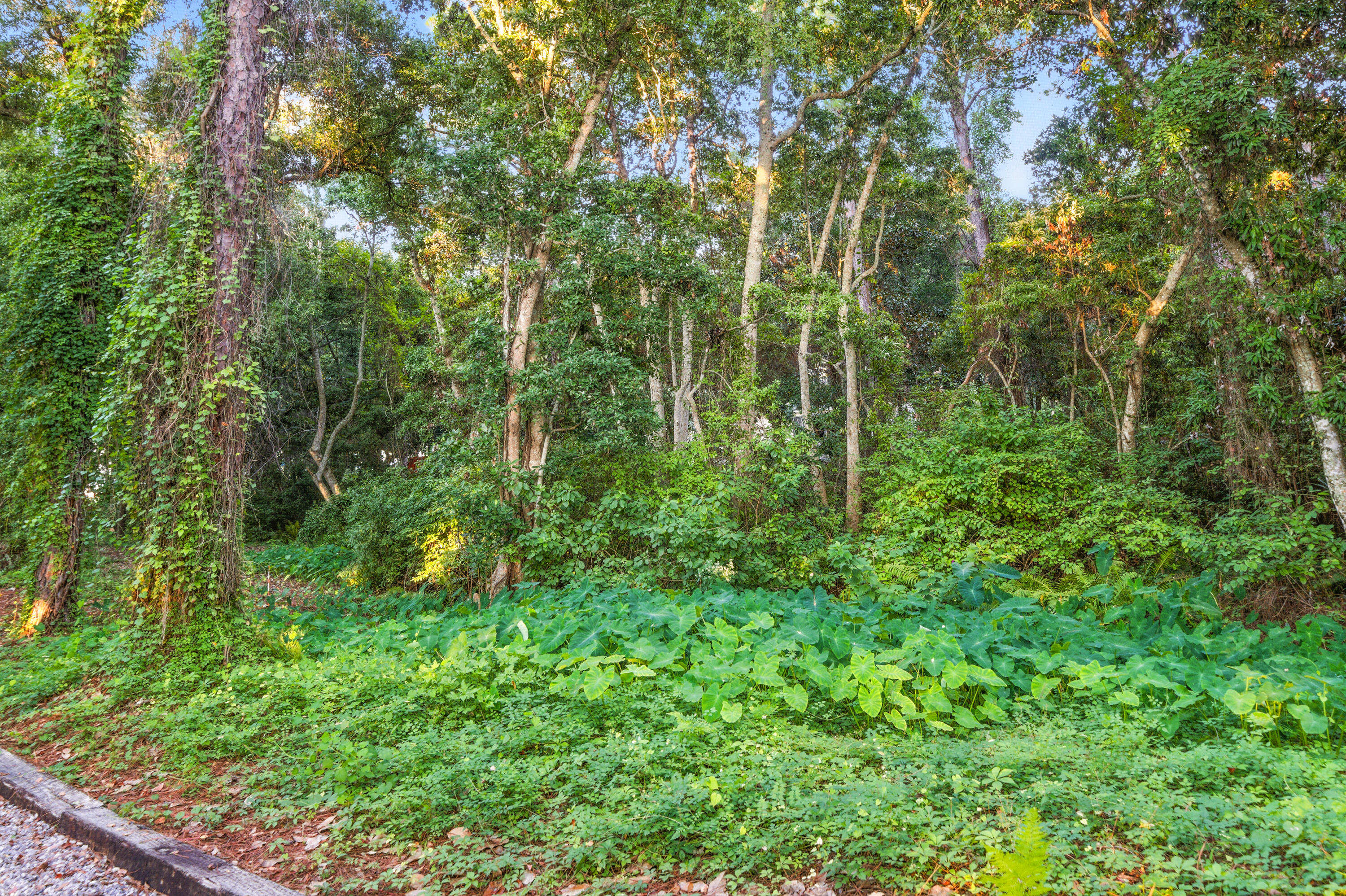 MORENO ACRES S/D - Land