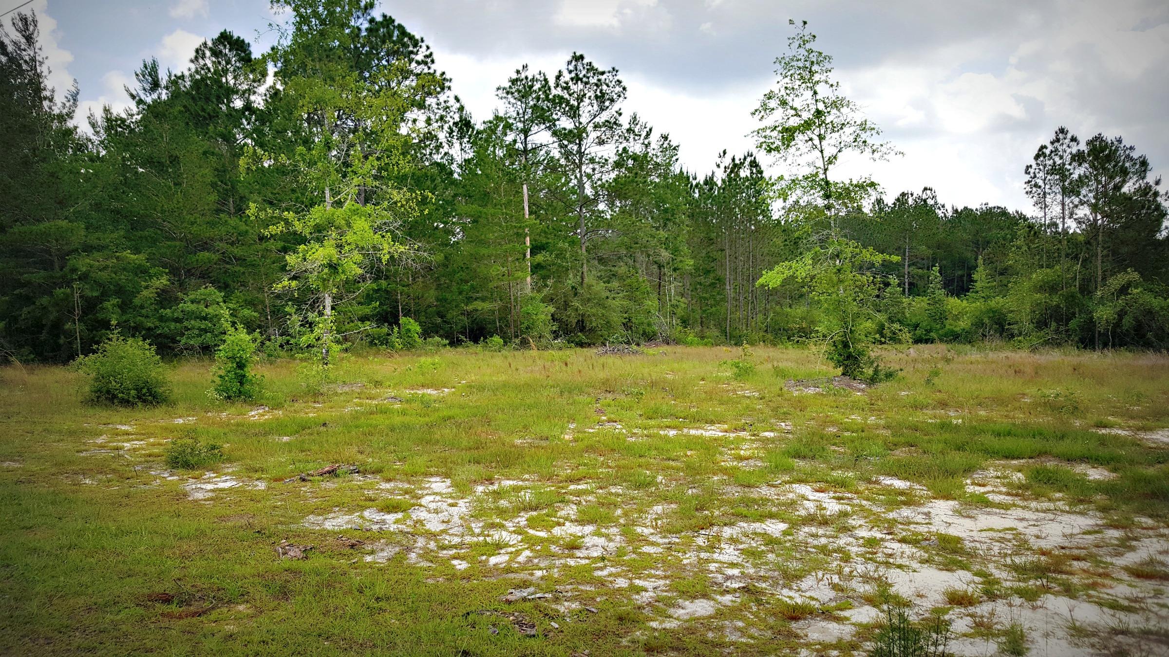 LAKESHORE GARDENS - Land