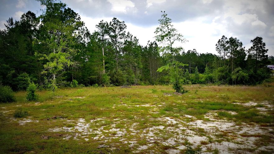 Almost Full Acre WATERVIEW Home Site cleared and ready to build on in this well-established neighborhood! This corner lot has phenomenal views of one of the small lakes. Tap Fee already paid! Located just minutes from Downtown Defuniak Springs, Hwy 90 and I-10. What are you waiting for? There are protective covenants for this subdivision.