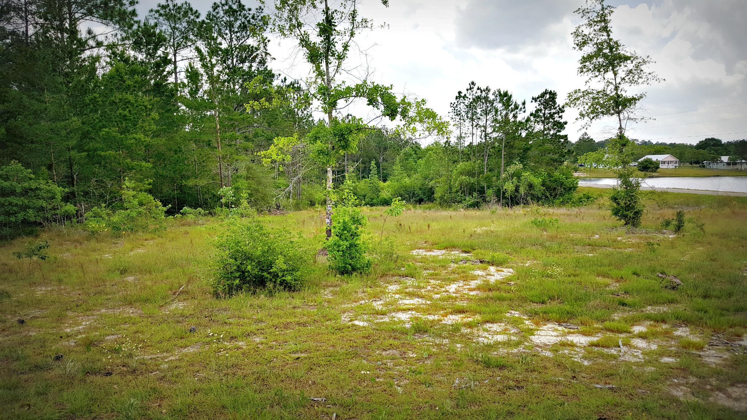 LAKESHORE GARDENS - Land