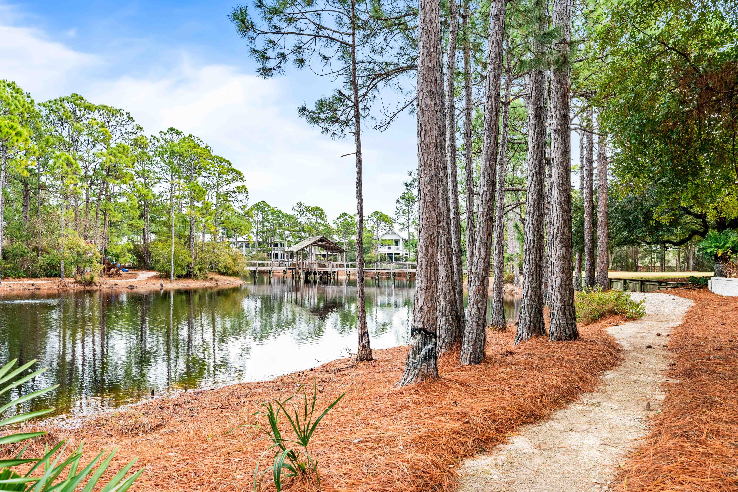 FOREST LAKES PH II - Residential