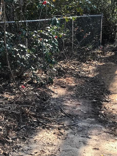 ADAMS POWELL S/D LOT 25 BLK J - Residential