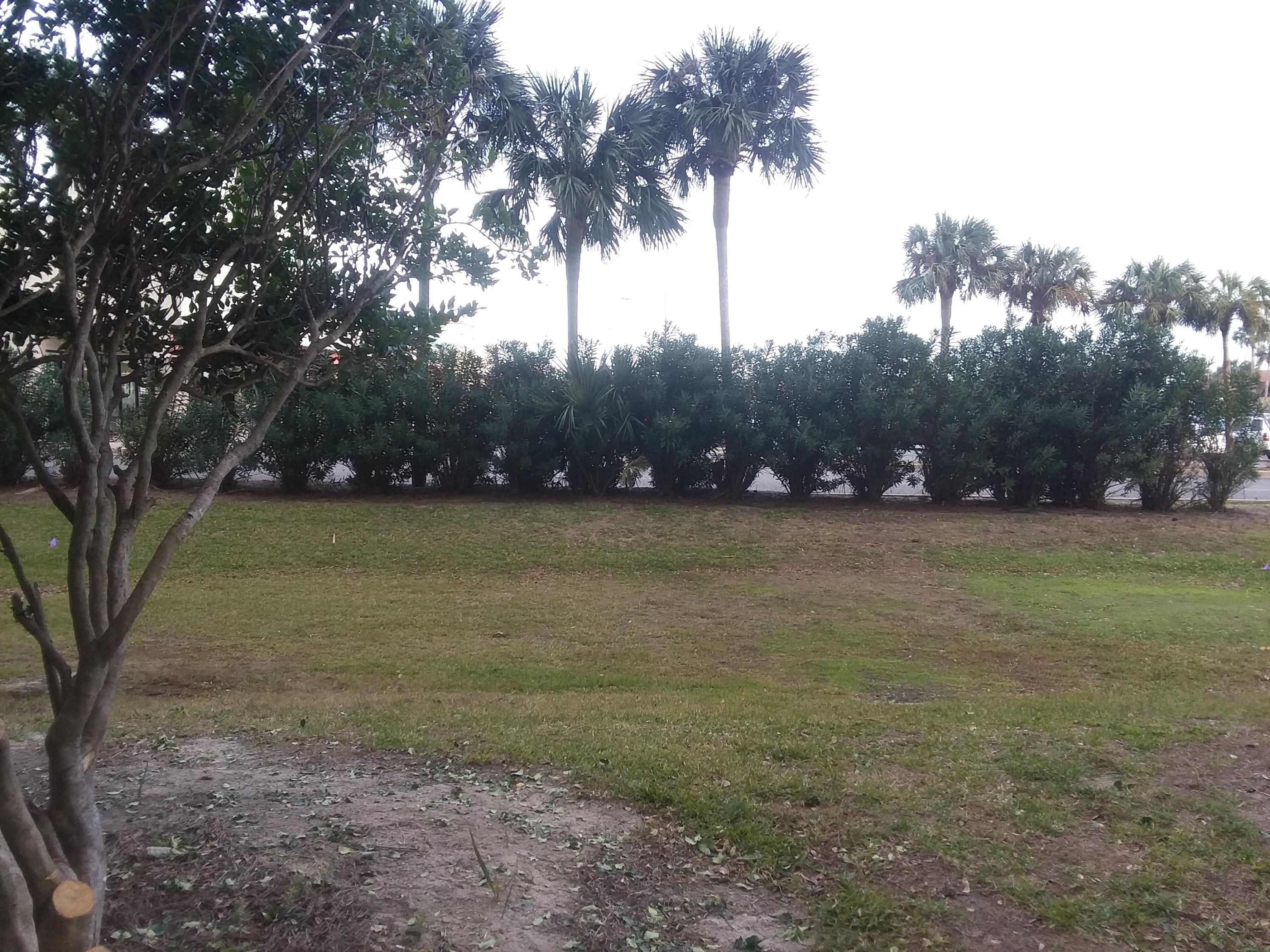 THE PALMS OF DESTIN - Residential