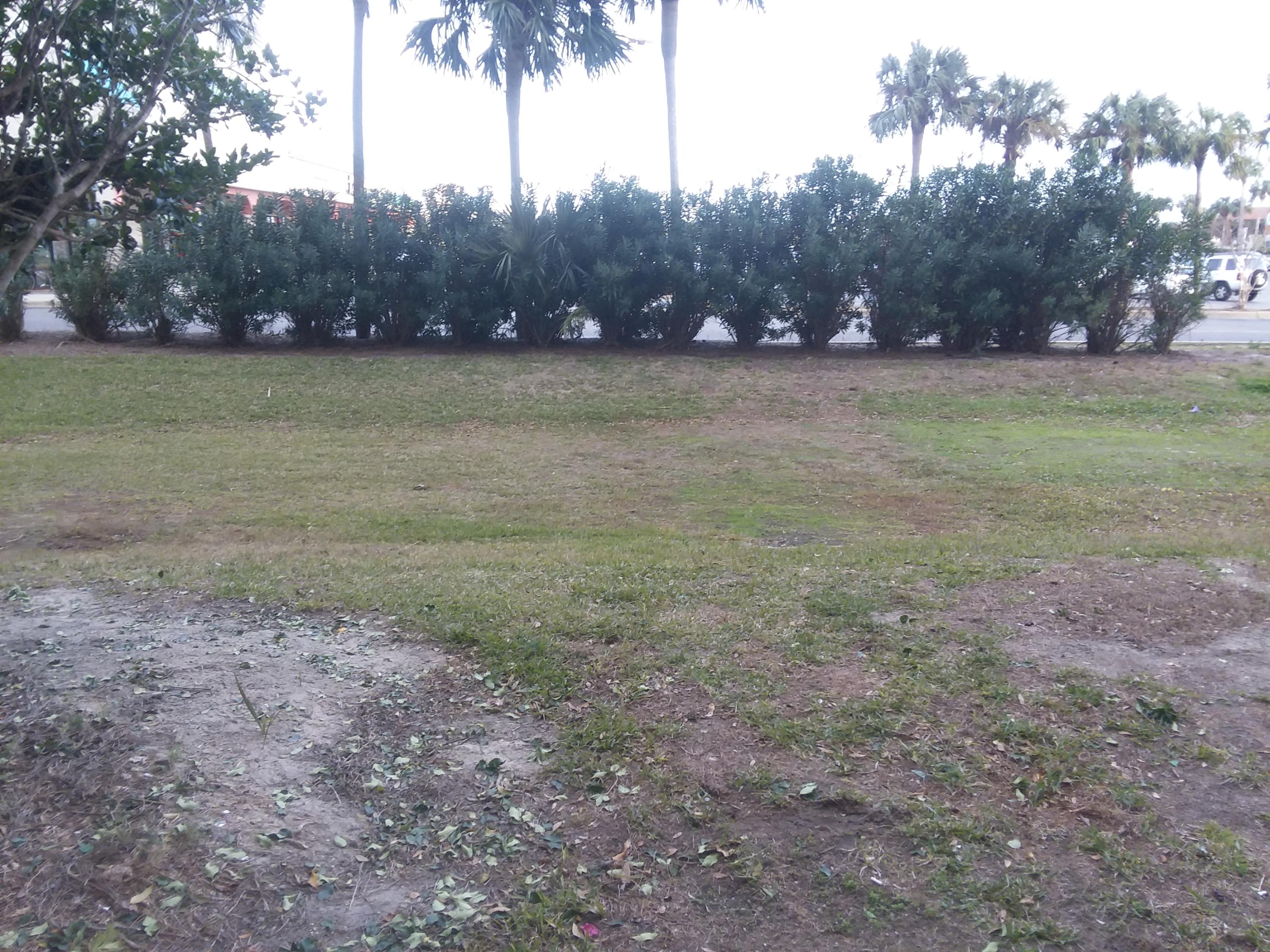 THE PALMS OF DESTIN - Residential