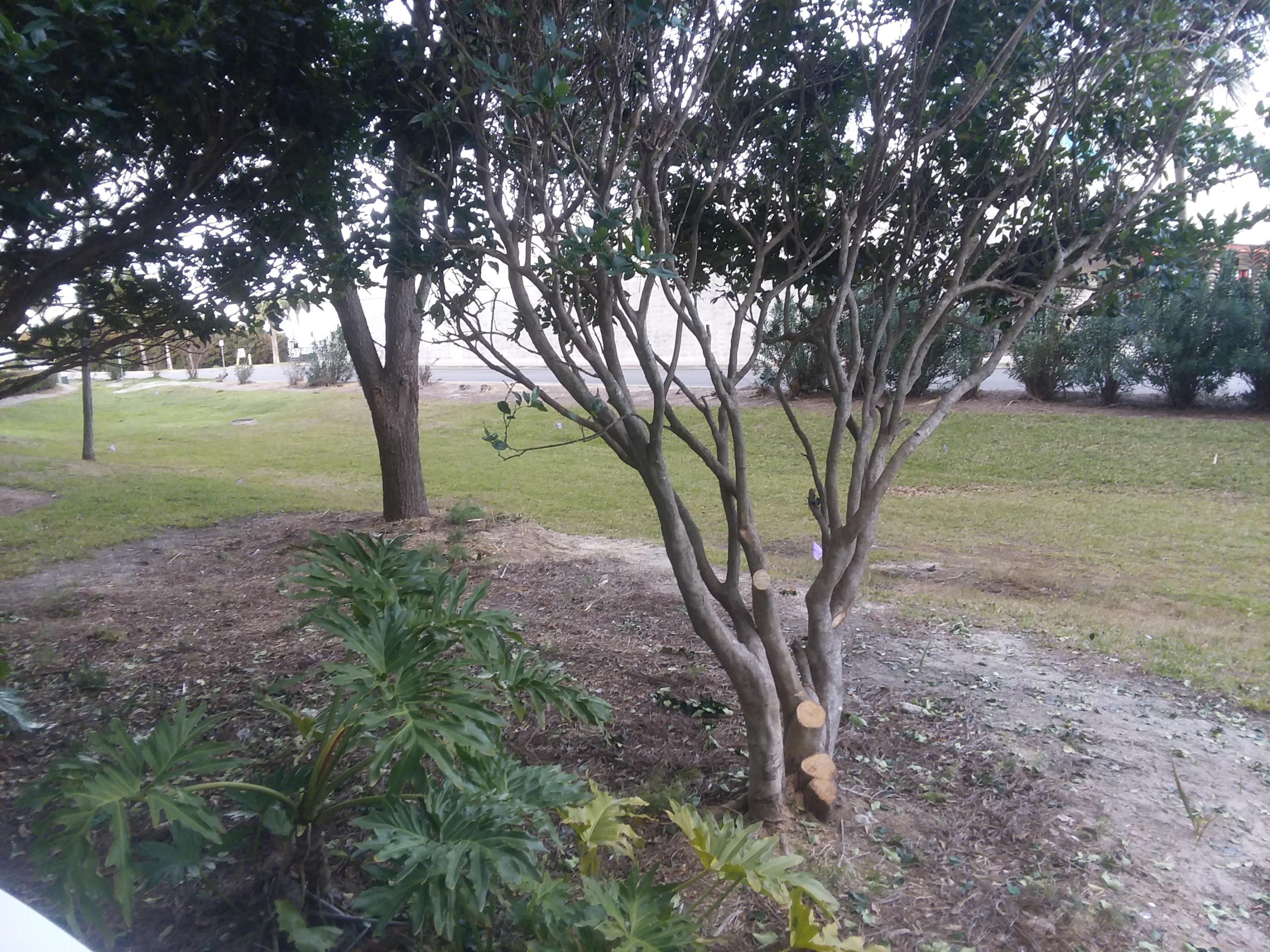 THE PALMS OF DESTIN - Residential