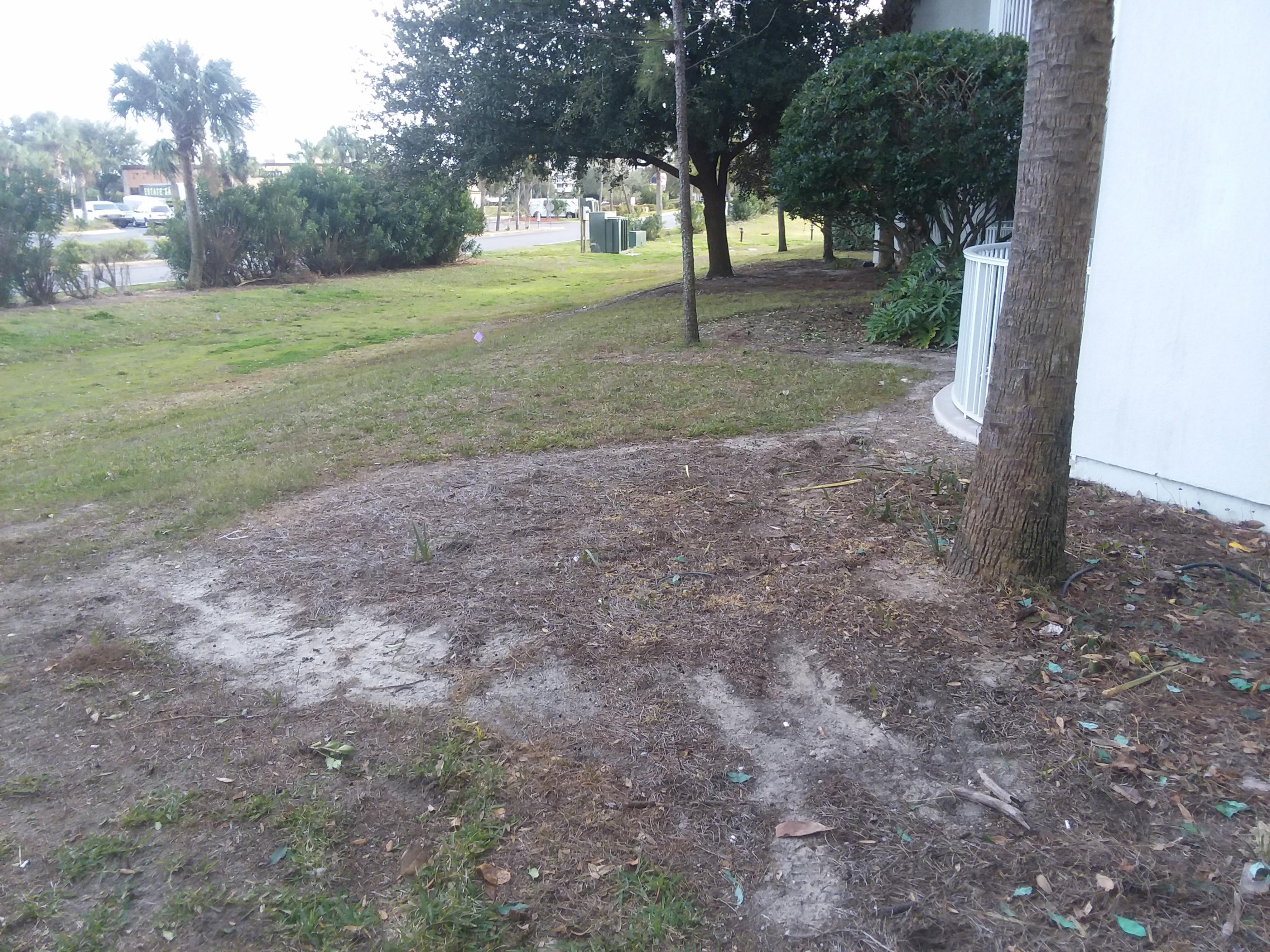 THE PALMS OF DESTIN - Residential