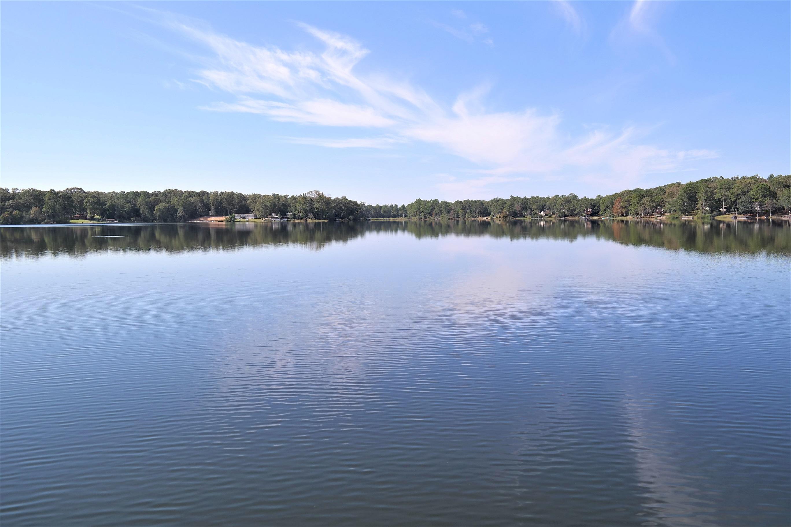 PARADISE ISLAND - Residential