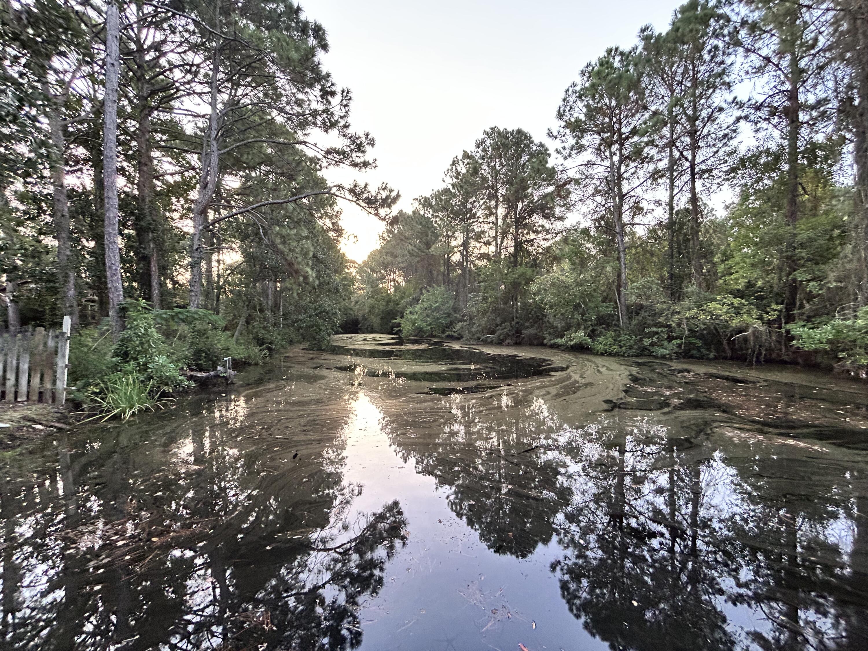 WYNNEHAVEN BEACH ESTATES - Residential