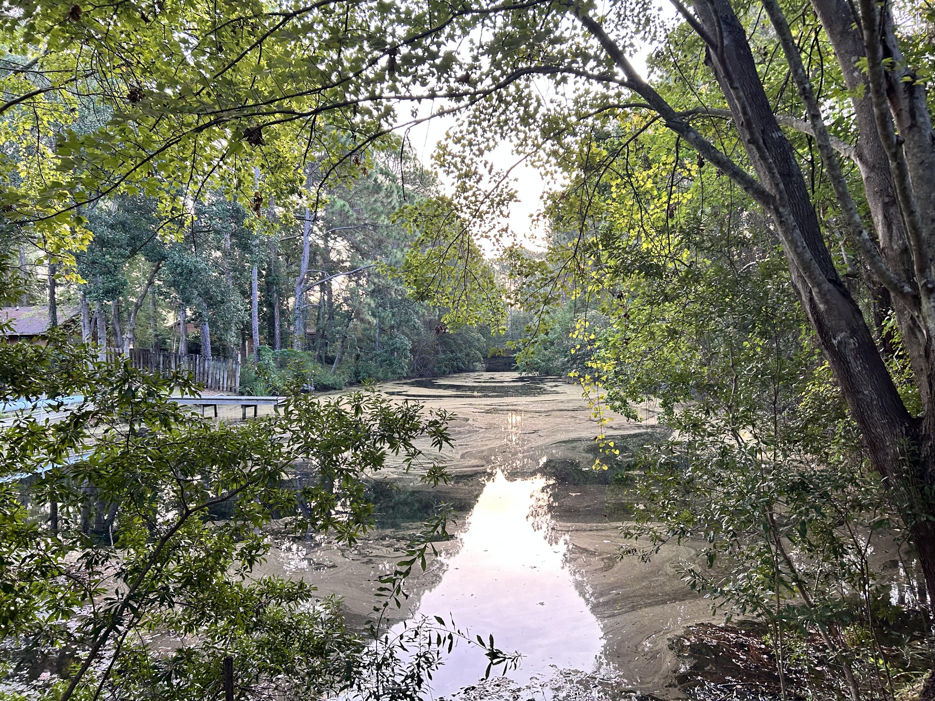 WYNNEHAVEN BEACH ESTATES - Residential