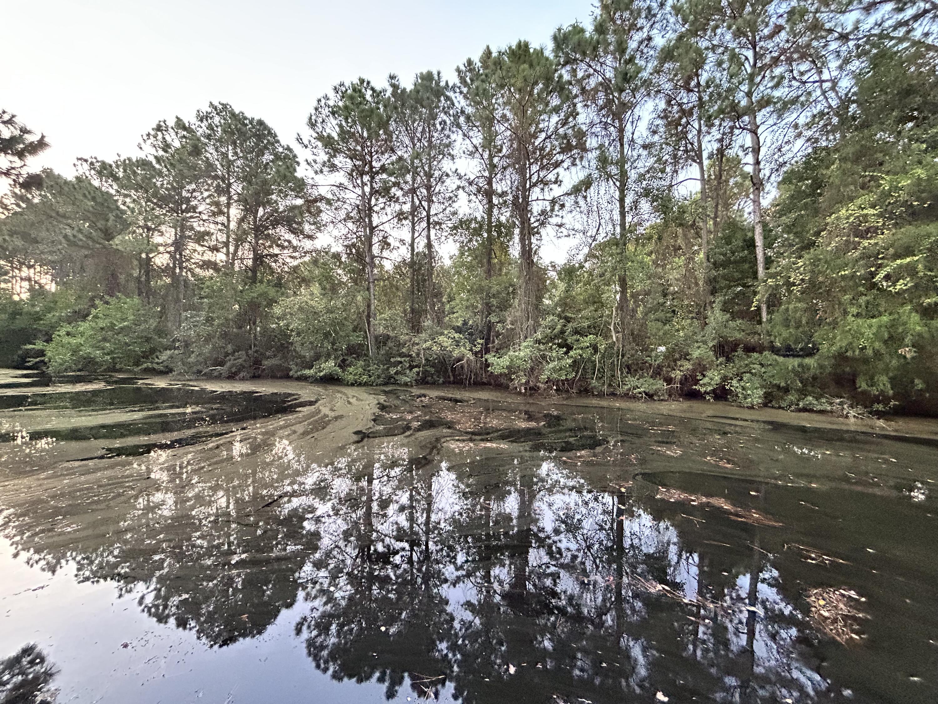 WYNNEHAVEN BEACH ESTATES - Residential