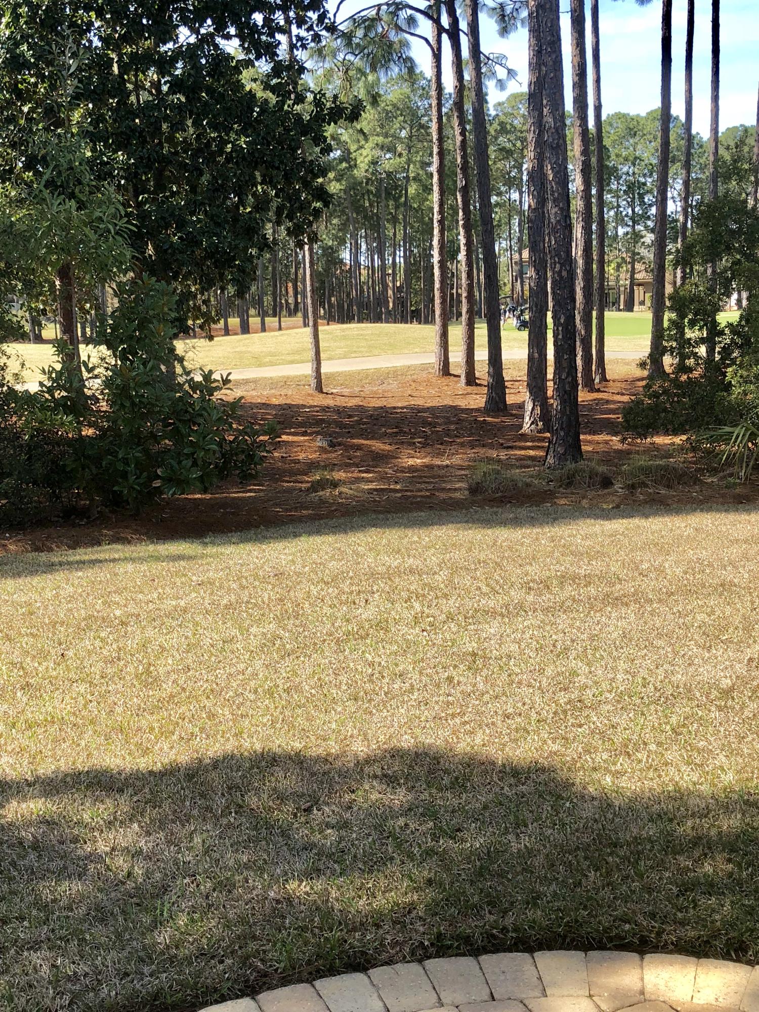 VINEYARD THE - Residential