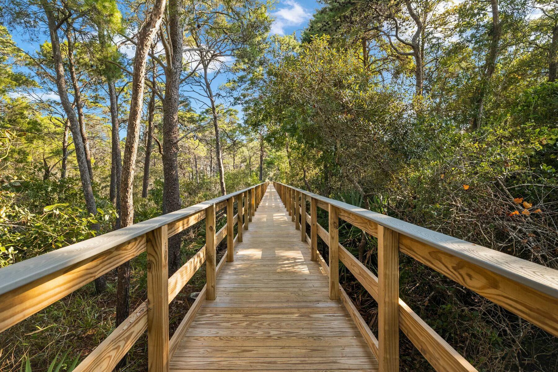 THE PRESERVE AT GRAYTON BEACH - Residential